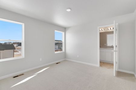 New construction Single-Family house 621 85th Avenue Ct, Evans, CO 80634 plan Weston - image 16