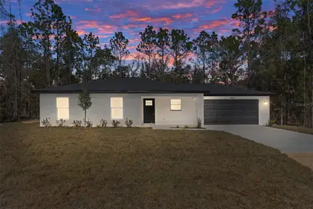 New construction Single-Family house 14197 Red Marlin Ave, Brooksville, FL 34614 - image