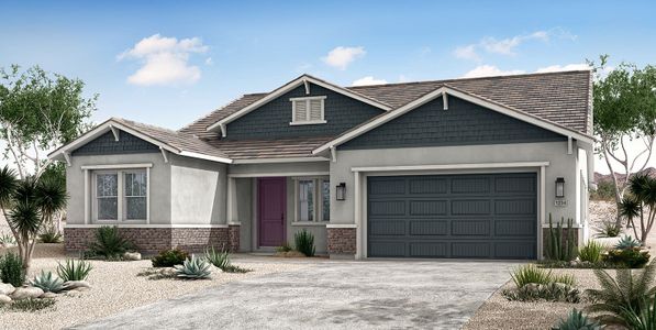 New construction Single-Family house 788 W Pelican Dr, Queen Creek, AZ 85140 plan Cardinal - image