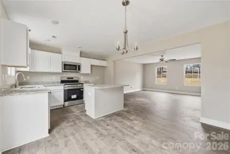 New construction Single-Family house 171 Yellow Branch Rd, Pageland, SC 29728 - image 6