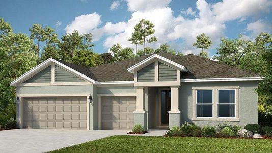 New construction Single-Family house 3614 Pine Peak Lp, Plant City, FL 33565 plan Java - image