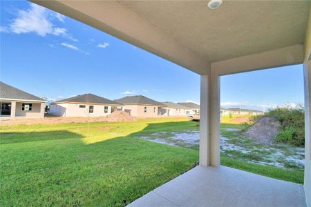 New construction Single-Family house 1417 Leamington Ln, Winter Haven, FL 33884 2202-- photo 44 44