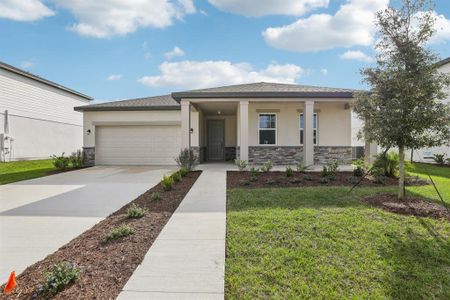 New construction Single-Family house 5249 Painted Bamboo St, St. Cloud, FL 34771 - image