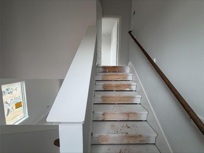 New construction Single-Family house 3714 Violet Ln, Huntsville, TX 77340 - image 10