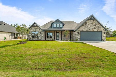 New construction Single-Family house 3713 Tremont Ln, Granbury, TX 76049 - image