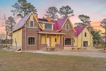 New construction Single-Family house 113 Silverbell Ln, Ravenel, SC 29470 - image