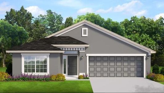 New construction Single-Family house 4485 Ne 31St Street, Ocala, FL 34470 1720- photo 0