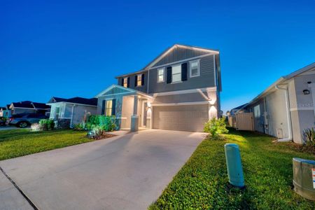 New construction Single-Family house 880 Alvanley Ct, Davenport, FL 33896 - image