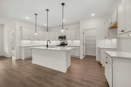 New construction Single-Family house 149 English Barn Wy, Hiram, GA 30141 plan The Rosewood - image 6