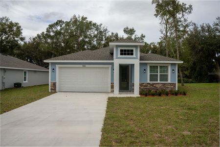 New construction Single-Family house 15303 Se 94Th Ter, Summerfield, FL 34491 - image