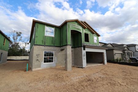 New construction Single-Family house 12134 Hilltop Farms Dr, Dade City, FL 33525 Malibu- photo 62 62