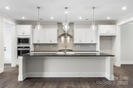 New construction Single-Family house 275 Luray Wy, Unit 447, Rock Hill, SC 29730 plan Genessee - image 5