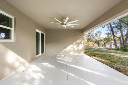 New construction Single-Family house 415 Ivy Ave, Deland, FL 32724 - image