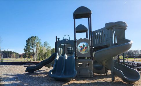 Powell Playground at daytime