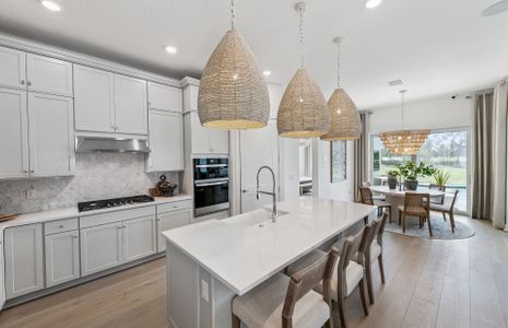 New construction Single-Family house 14709 Sunset Crest Ln, Parrish, FL 34219 plan Mystique - image