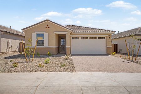 New construction Single-Family house 3761 S 241St Ave, Buckeye, AZ 85326 plan Ginger - image