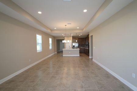 New construction Single-Family house 38357 Palomino Dr, Dade City, FL 33525 Picasso Bonus- photo 85 85