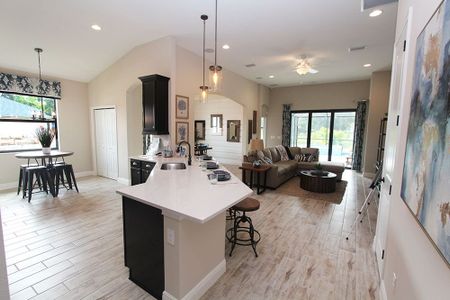 New construction Single-Family house 12331 Evergreen Avenue, Brooksville, FL 34613 - photo 11 11