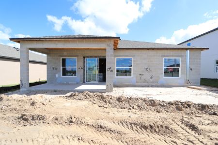 New construction Single-Family house 12227 Hilltop Farms Dr, Dade City, FL 33525 Sentinel- photo 36 36