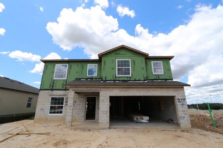 New construction Single-Family house 12219 Hilltop Farms Dr, Dade City, FL 33525 Malibu- photo 38 38