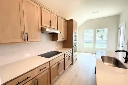 New construction Single-Family house 9605 Gladsome Path, Manor, TX 78653 plan Taylor - image 4