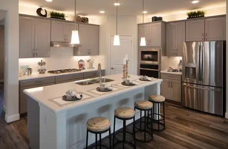 New construction Single-Family house 121 Starland Dr, Oak Point, TX 75068 plan Pewter - image