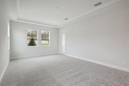 New construction Single-Family house 157 Hidden Estates Ct, Brandon, FL 33511 Key Largo- photo 17 17