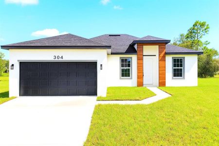 New construction Single-Family house 304 Bass Ln, Kissimmee, FL 34759 - image