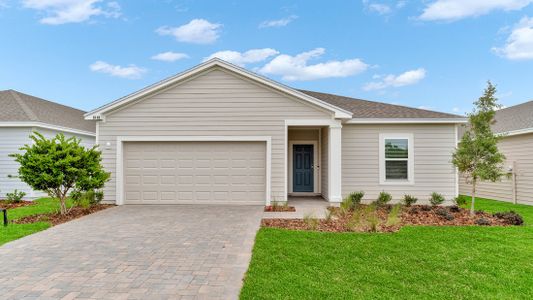 New construction Single-Family house 8132 Lilias Cir, Jacksonville, FL 32219 plan Sage - image