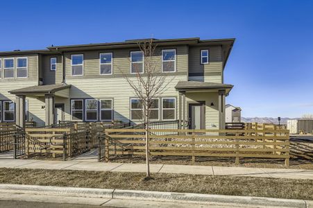 New construction Single-Family house 857 Merganser Dr, Fort Collins, CO 80524 plan Cascade - image