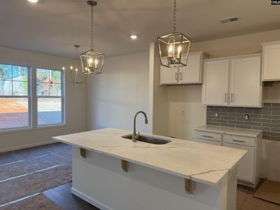 New construction Single-Family house 566 Griffon Dr, Chapin, SC 29036 plan Bradley II - image