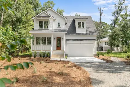 New construction Single-Family house 2956 Murraywood Rd, Johns Island, SC 29455 - image