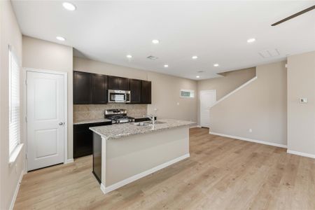 New construction Single-Family house 14731  Blooming Jasmine Trl, Houston, TX 77082 - image 9