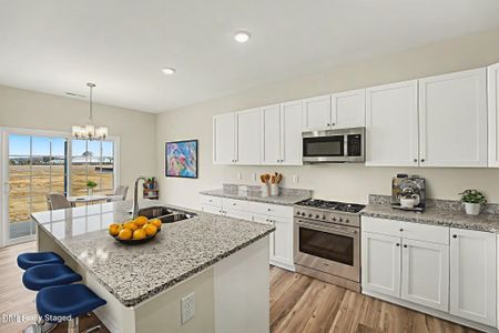 New construction Single-Family house 133 Tuscarora Dr, La Grange, NC 28551 - image 12