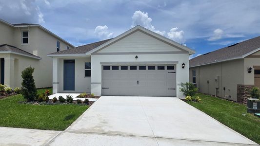 New construction Single-Family house 5377 Willow Crk, Haines City, FL 33844 plan Downing II - image
