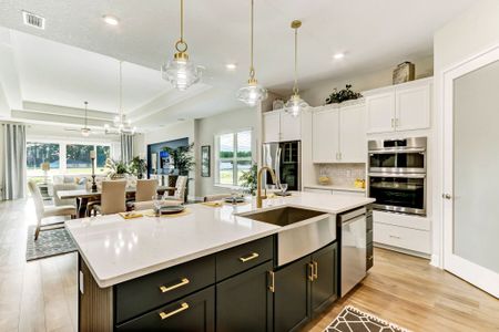 New construction Single-Family house 85113 Sandy Ridge Lp, Yulee, FL 32097 plan Albatera - image 12