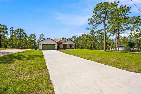New construction Single-Family house 12226 Sw 96Th Ln, Dunnellon, FL 34432 - image