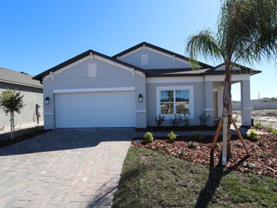 New construction Single-Family house 3142 Adams Cross Dr, Zephyrhills, FL 33540 Picasso- photo 84 84