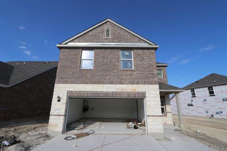 New construction Single-Family house 1704 Winding Talley St, Pflugerville, TX 78660 Cadence- photo 15 15