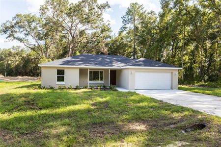 New construction Single-Family house 1057 Nw Timberlake Rd, Dunnellon, FL 34431 - image