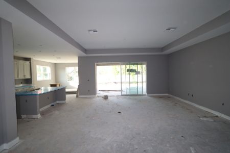 New construction Single-Family house 20243 Oriana Loop, Land O' Lakes, FL 34638 Corina  III Bonus- photo 66 66