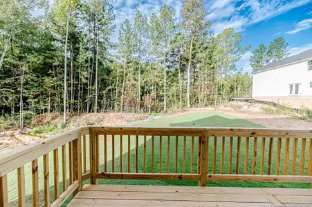 New construction Single-Family house 106 Driftwood Ct, Sanford, NC 27330 - image