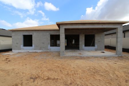 New construction Single-Family house 12263 Hilltop Farms Dr, Dade City, FL 33525 Sentinel- photo 17 17