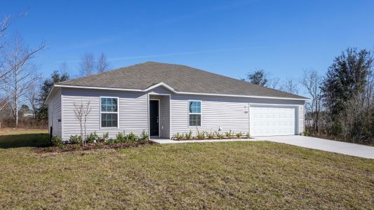 New construction Single-Family house 224 Locust Pass Crse, Ocala, FL 34472 The 2052- photo 54 54