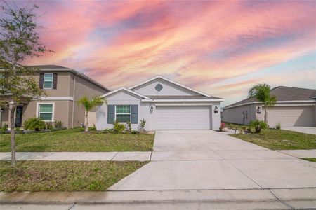 New construction Single-Family house 132 Pineywoods St, St. Cloud, FL 34772 null- photo 0