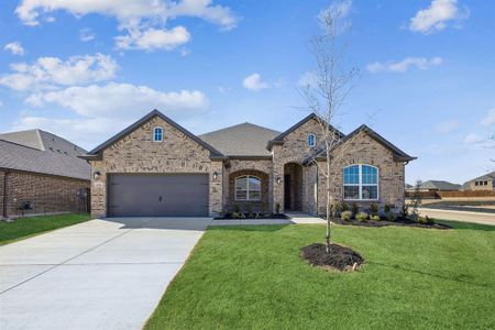 New construction Single-Family house 4364 Biddle St, Midlothian, TX 76065 plan Laurel - image