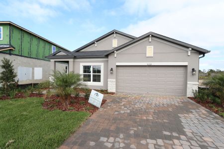 New construction Single-Family house 31229 Denham Ridge Ln, Wesley Chapel, FL 33545 Newport II- photo 85 85