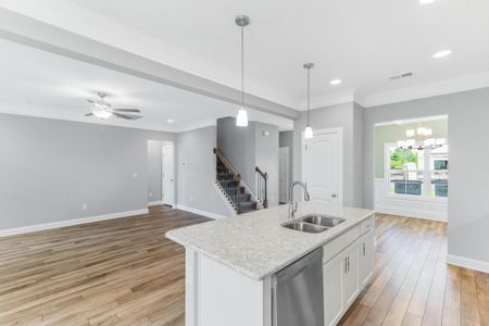 New construction Single-Family house 1023 Maggie Way Rd, Wendell, NC 27591 plan Clayton - image 17