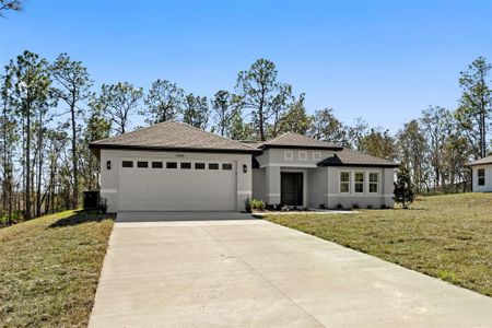 New construction Single-Family house 13088 Velvet Scoter Ave, Brooksville, FL 34614 - image