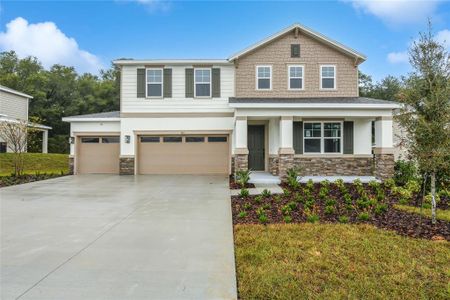 New construction Single-Family house 741 Wekiva Ridge Dr, Mount Dora, FL 32757 - image